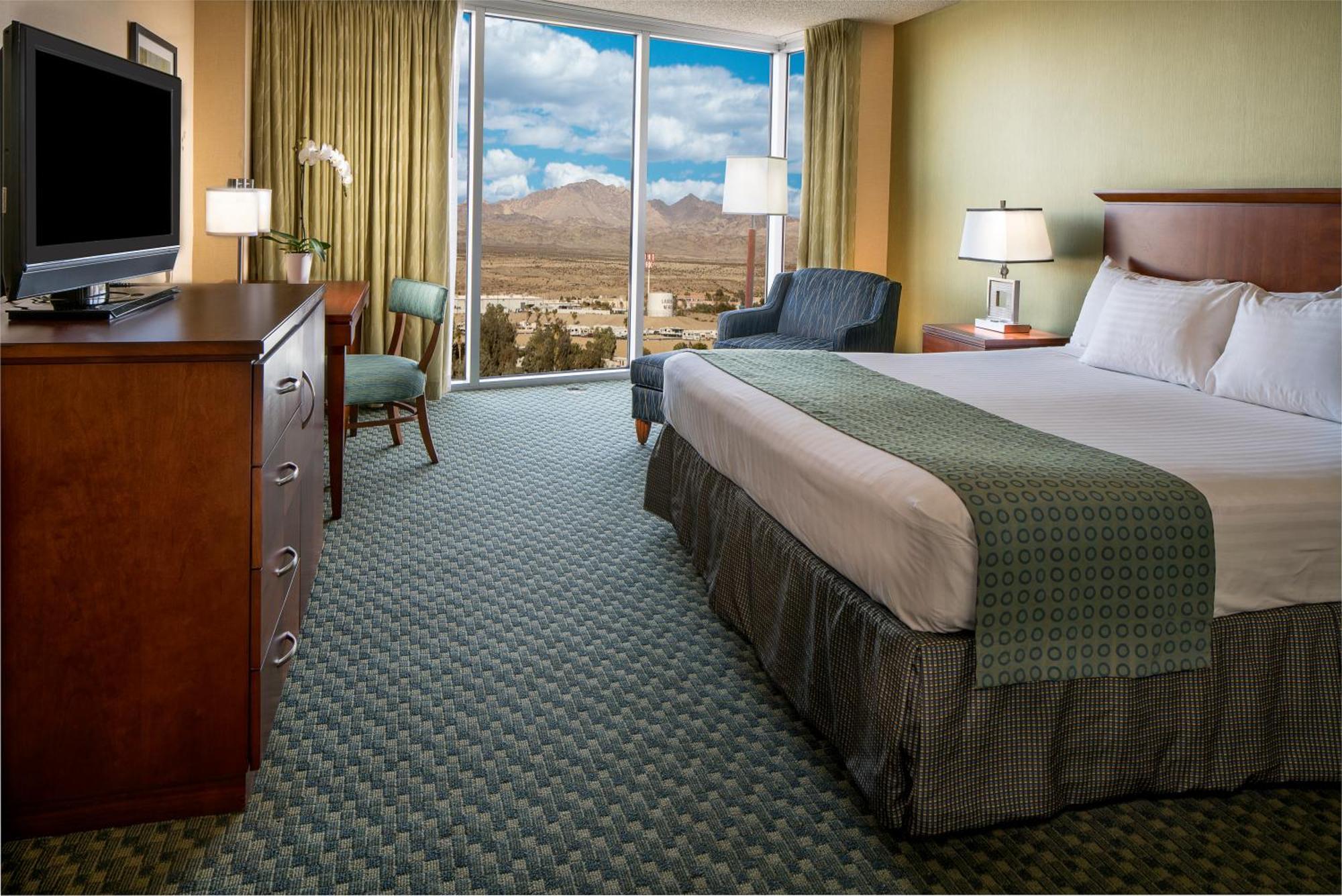 Panorama Room 1 King Bed